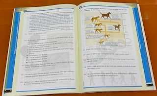 Caderno de atividades DESCOBRIR A TERRA 7 -C.NAT