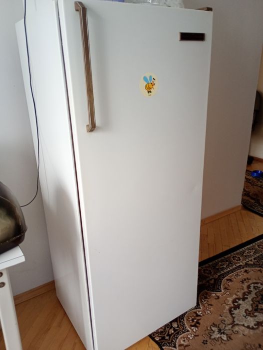 Холодильник Мінськ 16E