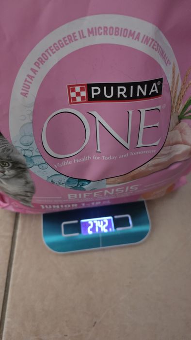 Purina One Frango Junior