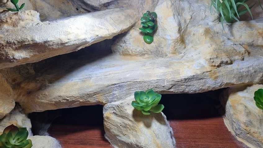 Terrarium  dla gekona  80x40x40  gotowe