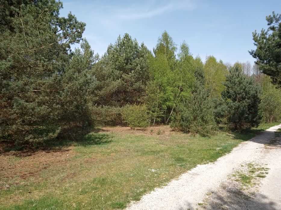 Sprzedam działkę budowlaną 3000 M2.