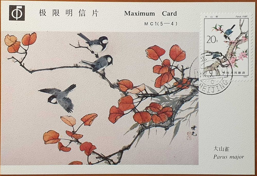 Postal Máximo - RP China - Emissão: PÁSSAROS 1982 - Dendrocopos major