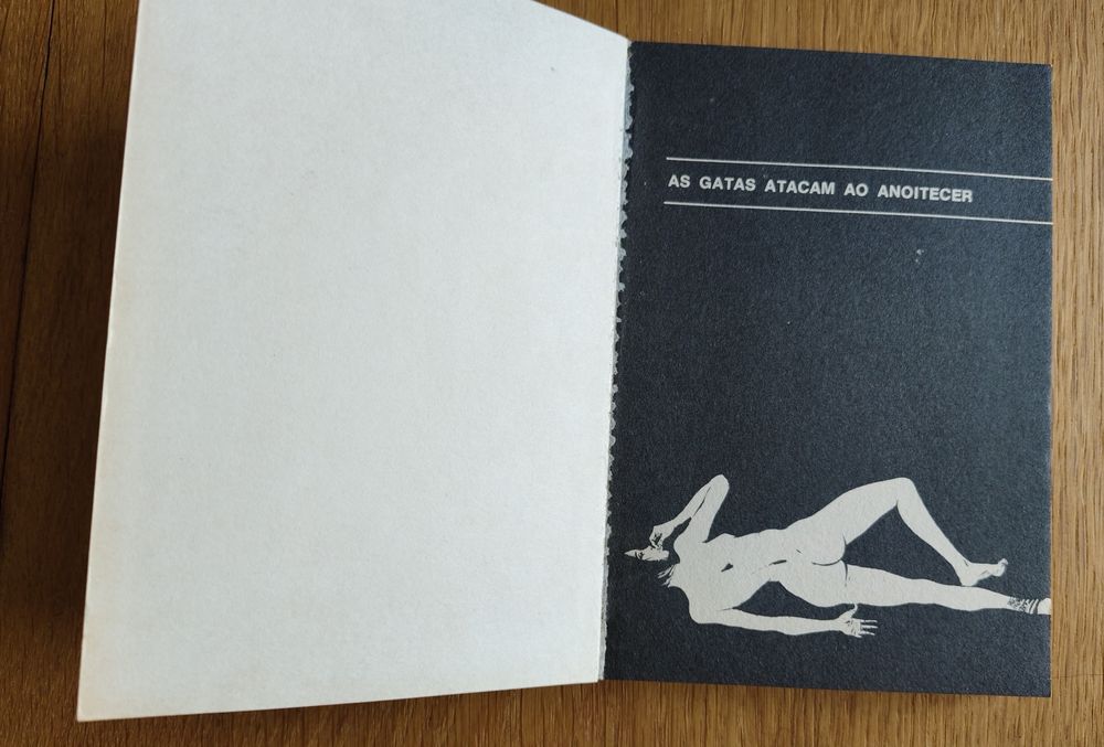 José Vilhena "As gatas atacam ao anoitecer"