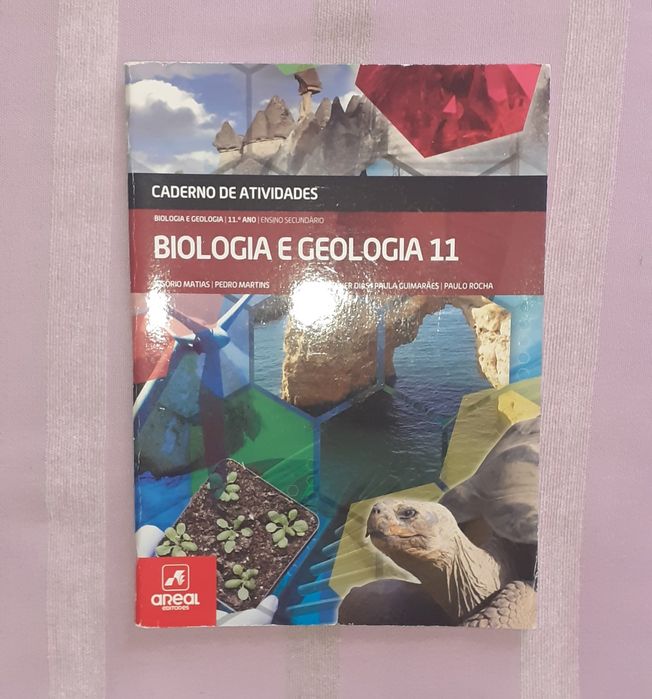 Manuais/Livros Escolares 11° Ano