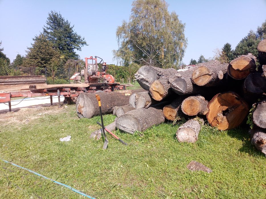 Tartak mobilny trak przewoźny przejezdny cięcie drewna u klienta