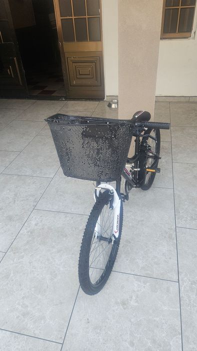 Bicicleta qüer roda 24