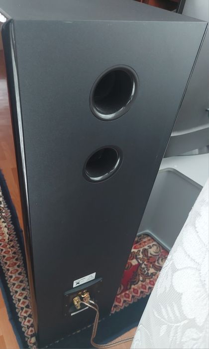 Kolumny Dynavoice Dynamite 10