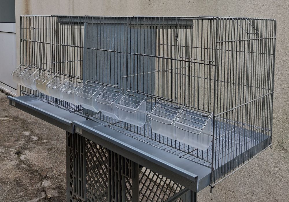 Gaiola para aves