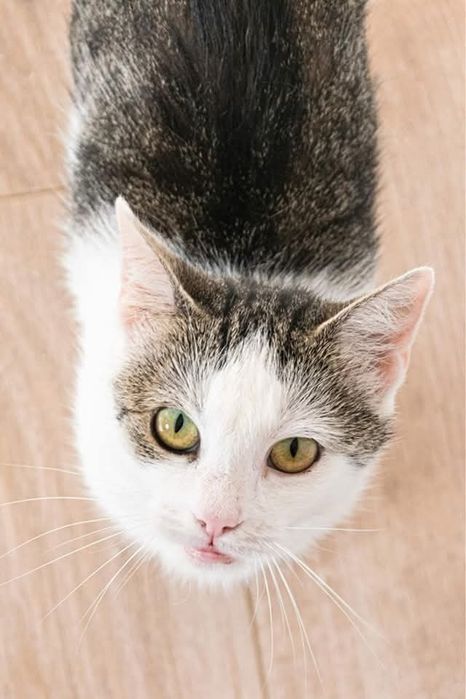 Czy ktoś zakocha się w tych pięknych oczkach?..