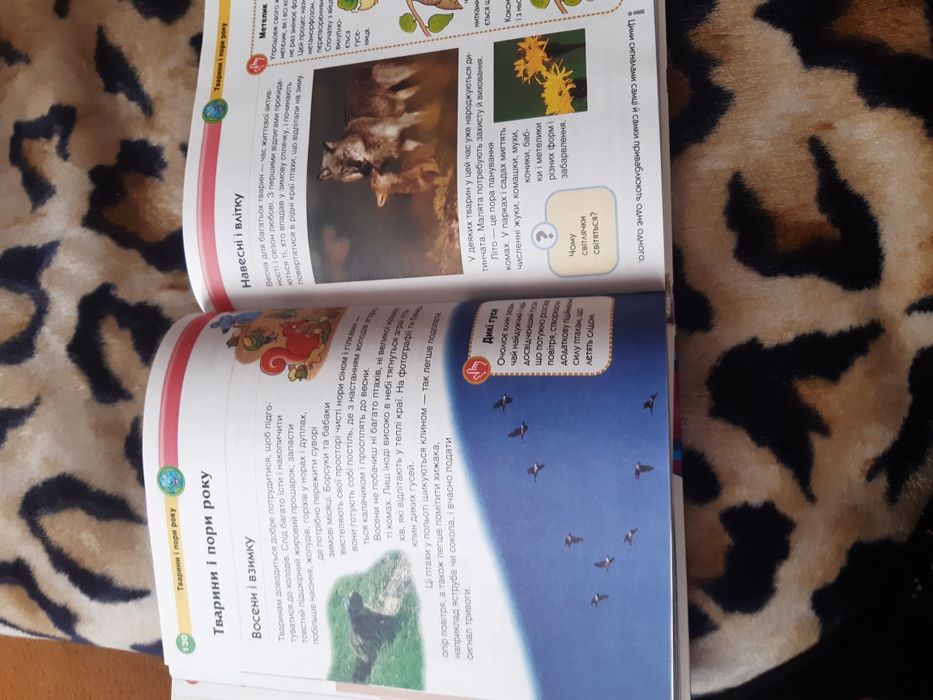 Сучасна Дитяча єнциклопедія