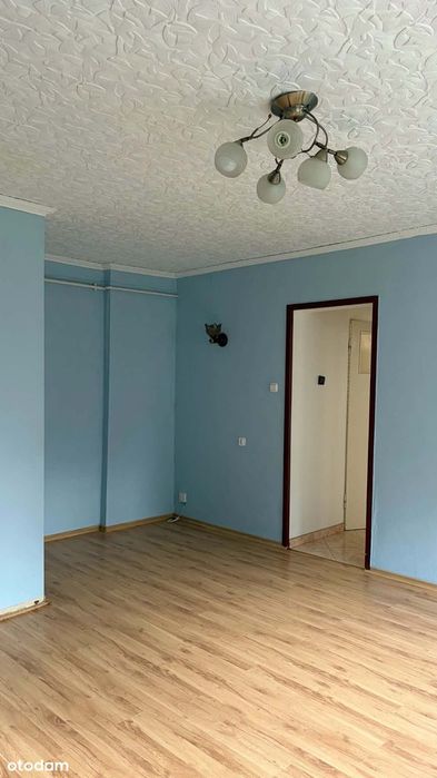 Sprzedam mieszkanie 2-pkojowe na parterze w bloku Kowalewo Pomorskie