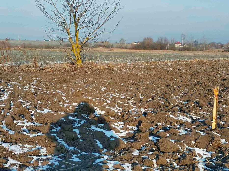 Земельна ділянка