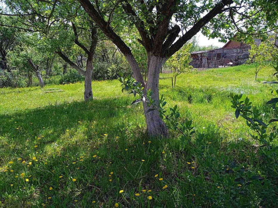 Продам  будинок в Тетерівці