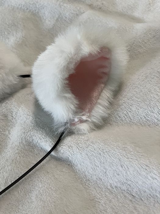 Білі котячі вуха
