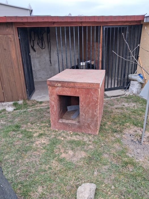 Buda dla dużego psa