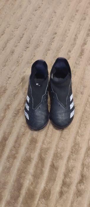 Предатори на хлопчика