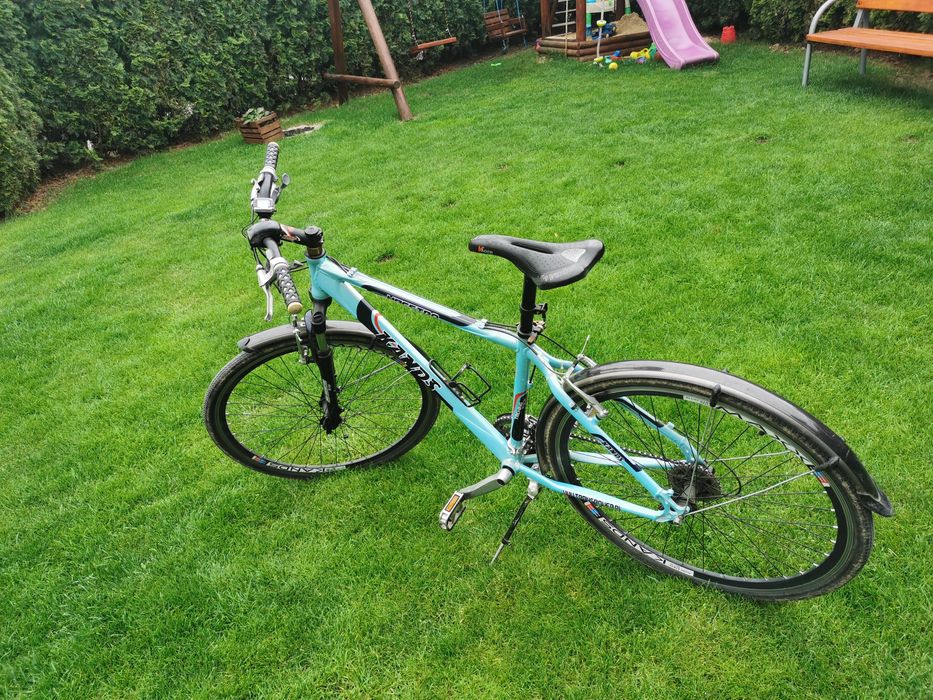 Rower Kands maestro 19" cross Opoczno • OLX.pl