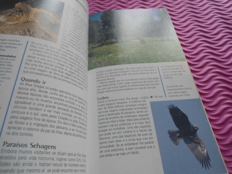 Essencial - Ilhas Gregas