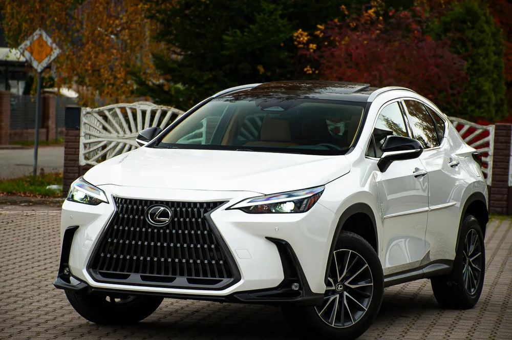 Lexus NX Lexus Nx 350 AWD