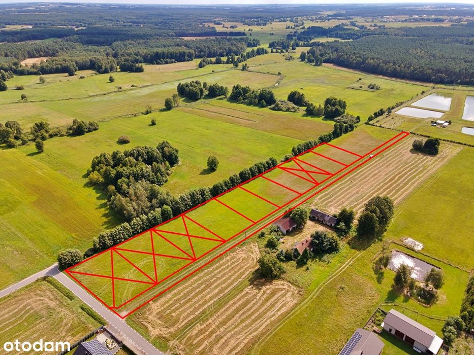 Działki budowlane m. Kuźnica, gm. Ceków-Kolonia