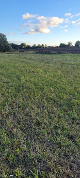 Działki budowlane na sprzedaż