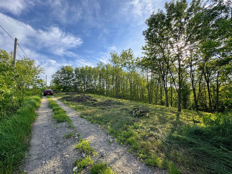 Продаж унікальної ділянки в с. Музичі, НАЙКРАЩА ЦІНА! фото реальні