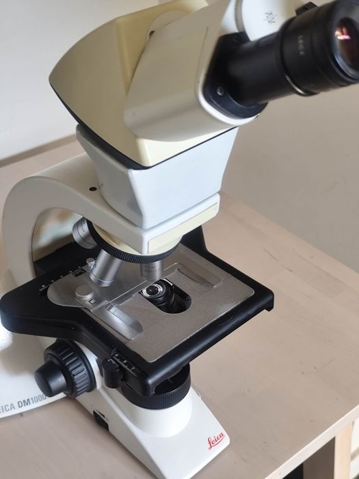 Microscopio medico