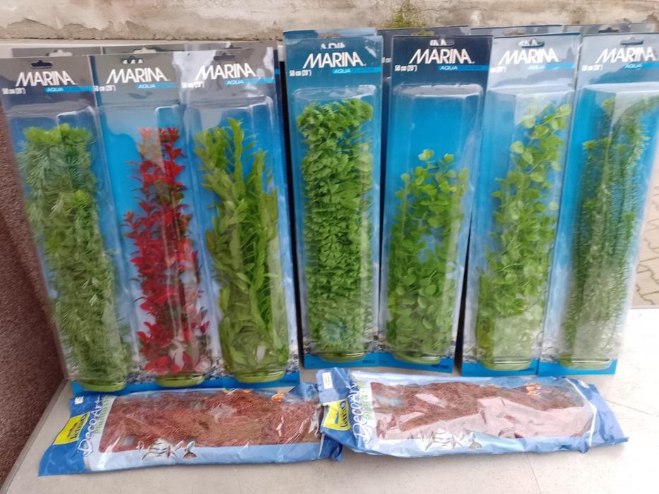 Rośliny do akwarium