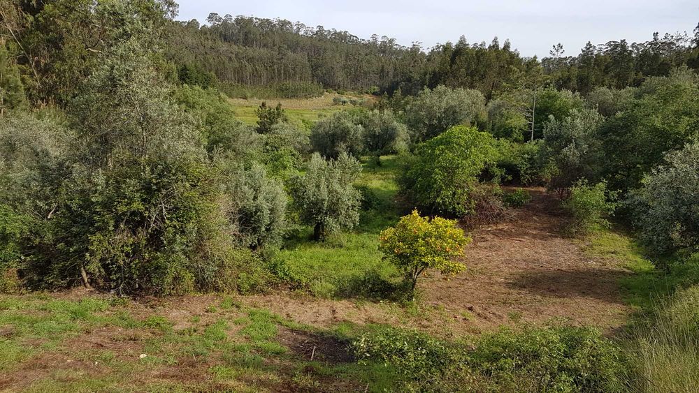 Terreno urbano em Montes de Verigo