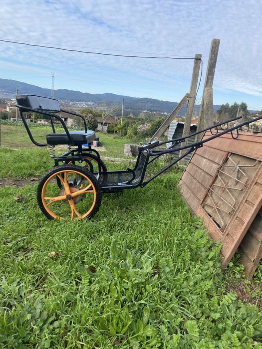 Charrete para pónei