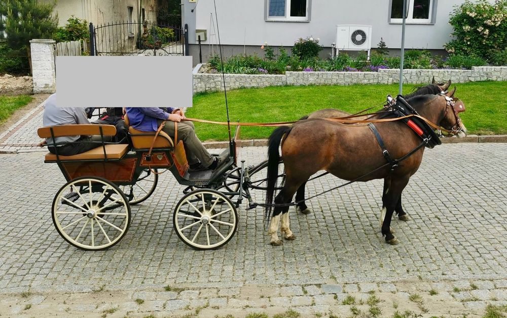 Bryczka Wagonetka – firmy ECC, model Elegant, w idealnym stanie