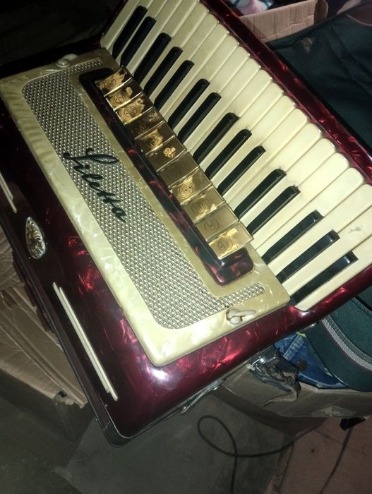 Музичний інструмент