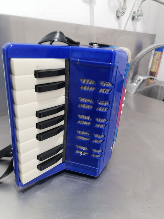 Small Accordion64750729570434121