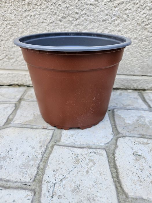 Vendo vasos pequenos