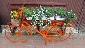 Piękny Kwietnik - rower w kolorze pomarańczowym