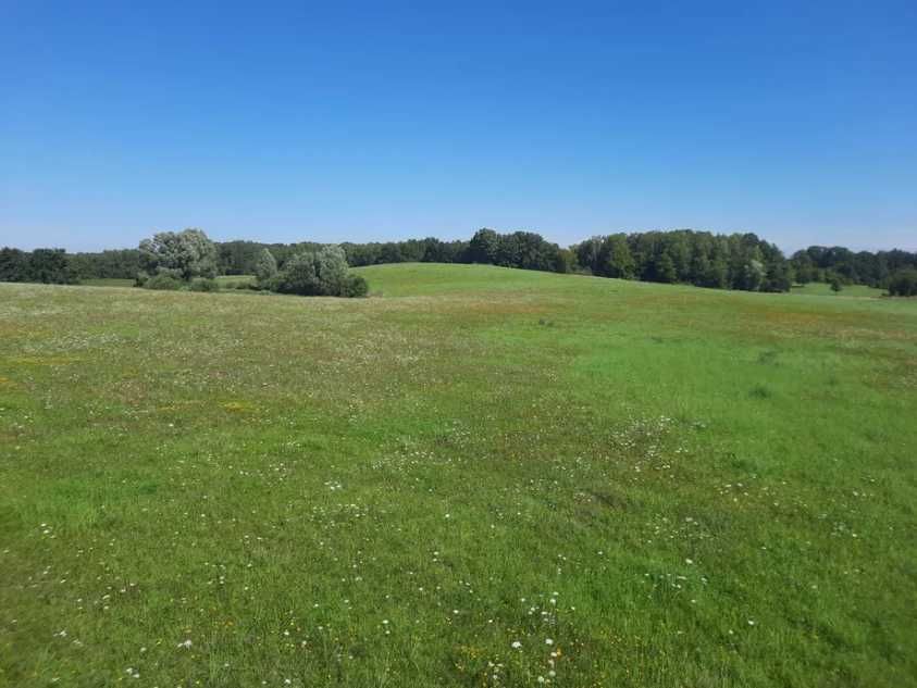 Duża działka rolna 29,7 ha z warunkami zabudowy – Natura 2000