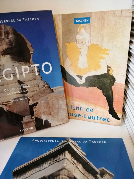 Colecção de 40  livros de Pintores do Sec. XX  da Globus