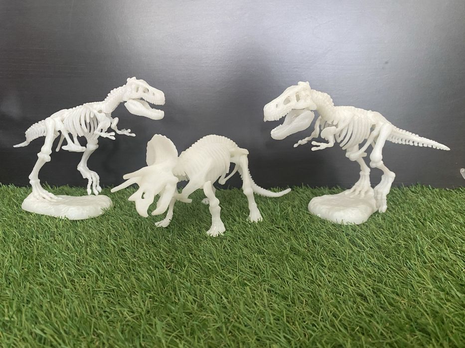 Dinossauros Esqueletos