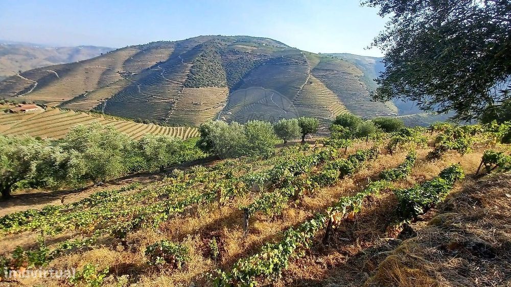 Quinta  para venda