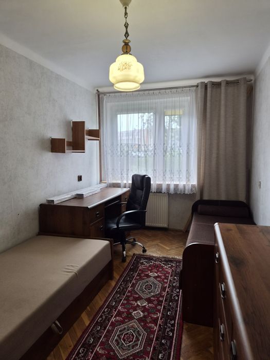 Zdjęcie 8