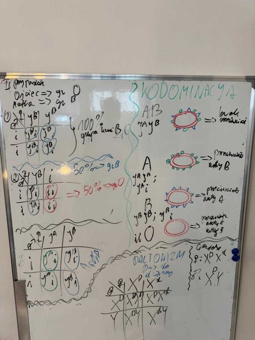 Korepetycje BIOLOGIA Matura ONLINE ze studentem lekarskiego