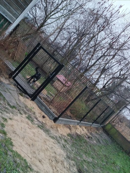 Ogrodzenia panelowe, bramy i furtki na wymiar