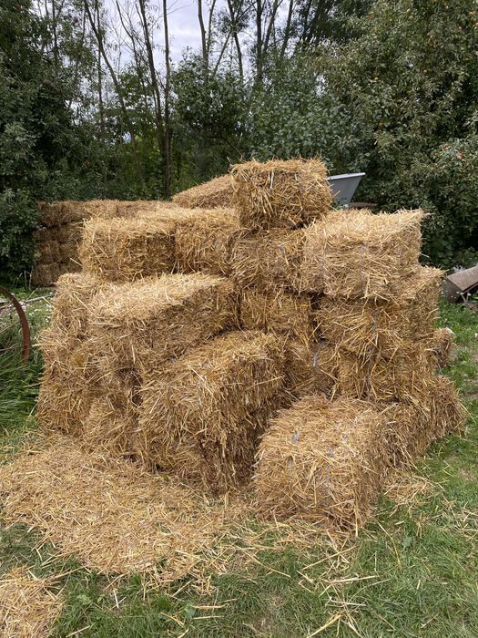 Продам тюки з соломи