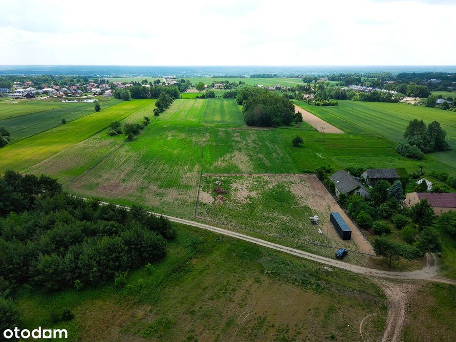 Działka, Maszewo - Widok 2