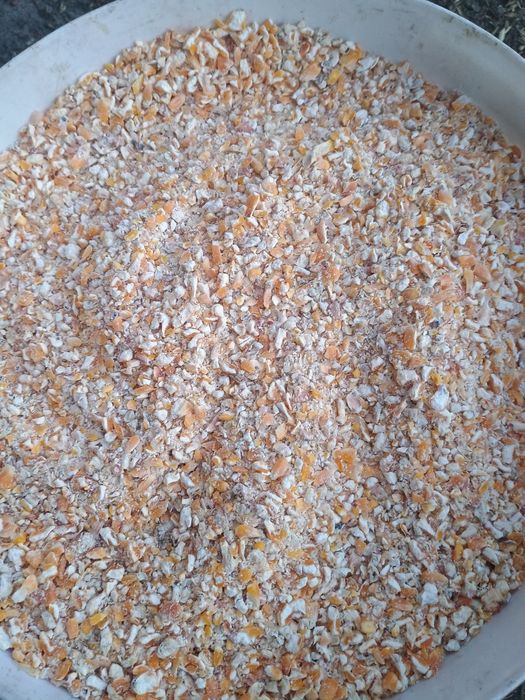 Śruta dla kur,mieszanka.