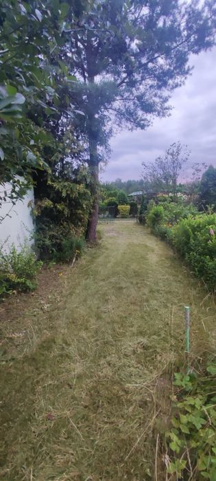 „Działka rekreacyjna ROD „Aronia” – 478 m² – Okuniew” - Widok 5