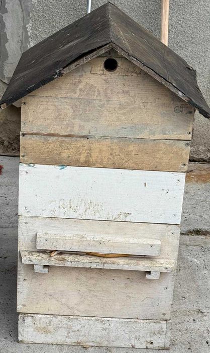 Продаються вулики!