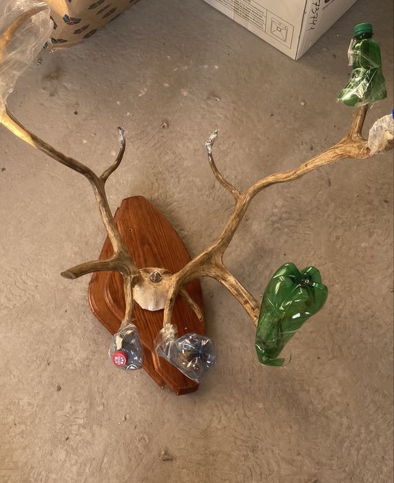 Рога оленя на підставці