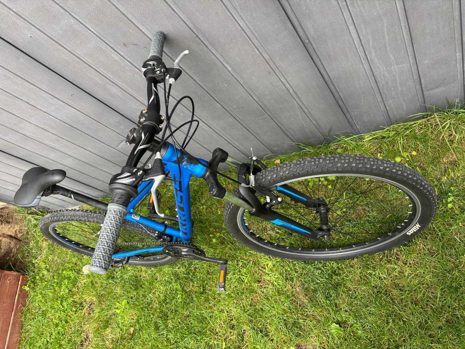 Rower KROSS 1.0 Hexagon