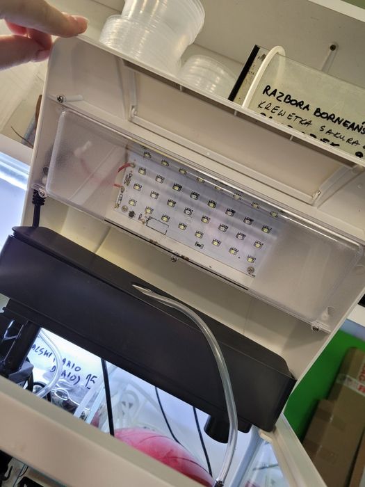 Akwarium 22.5 L z oświetleniem